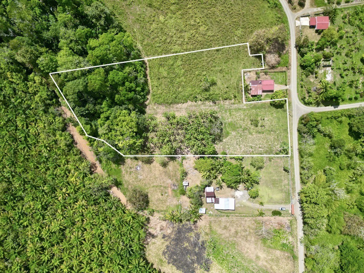 2.4 Acres Building Lot in Osa Peninsula - Gallery image 2