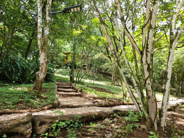 Nosara's Brand New Top Villas as a Business Opportunity in the dense forest of catchment area, 7 villas for sale in Costa Rica's Healthy Blue Zone - Gallery image 14