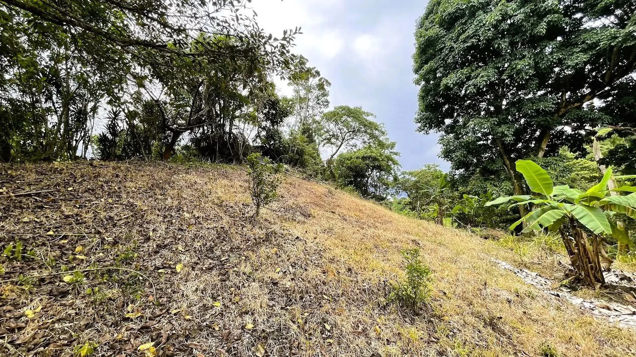 LAND FOR SALE IN SAN MIGUEL, NARANJO - Gallery image 19