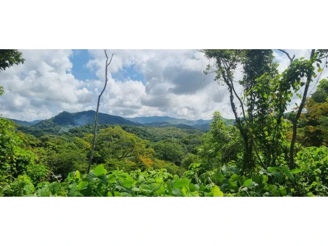 Mountain View property for sale in Samara, stunning 360 nature views land perfect for building - Gallery image 2