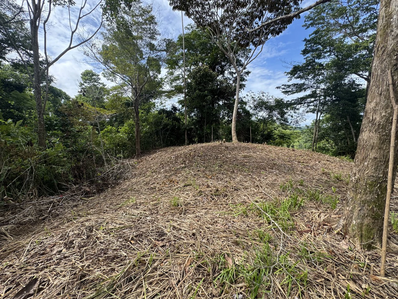 23.5 Acre Waterfall & Riverfront Estate Bahia Ballena Osa Peninsula - Gallery image 19