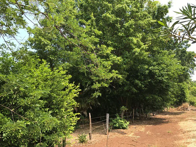 Great property in Santa Cruz: Excellent opportunity to develop in excellent location - Gallery image 7