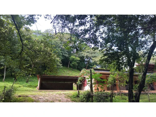 Tamarindo horse farm with two houses, a barn in the best natural setting - Gallery image 6