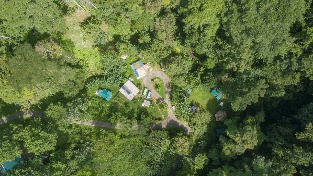 Mountain-Edge Sanctuary with Private Waterfall: 3 Titled Jungle Lots with Platforms, Waterfall, and Income Potential - Gallery image 2