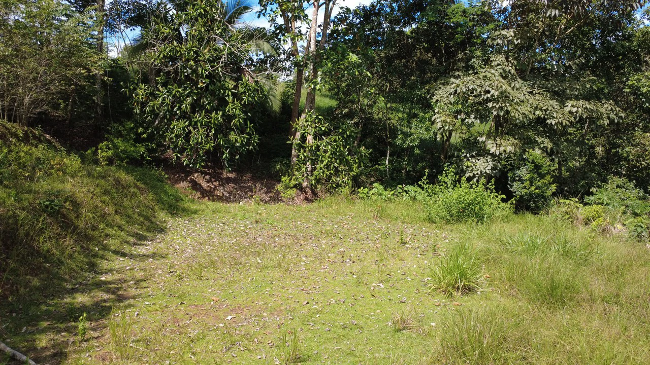 Countryside House For Sale in Buenos Aires - Gallery image 4