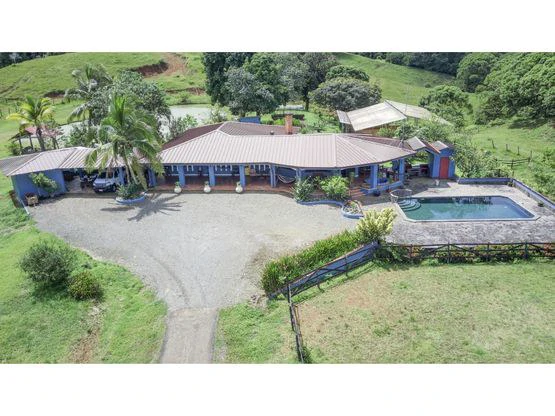 Serene Jungle Farm in Limon Province - Gallery image 16
