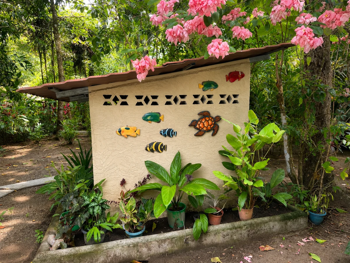 Tropical Beach Home – Sombrero, Osa Peninsula Costa Rica - photo 26