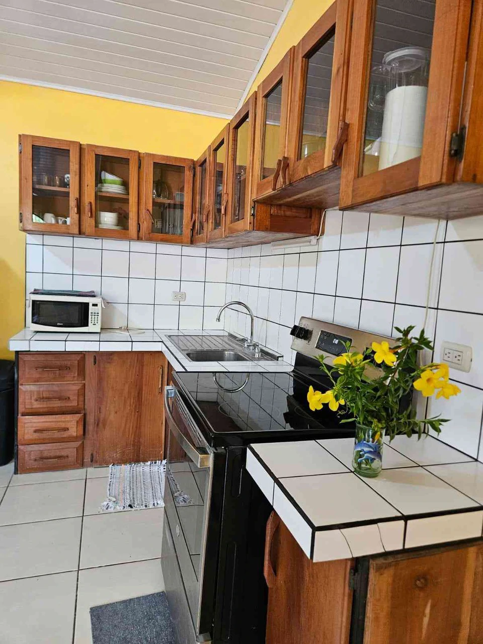 ID 4189: Casa Mango: Paquera, Puntarenas - Gallery image 9
