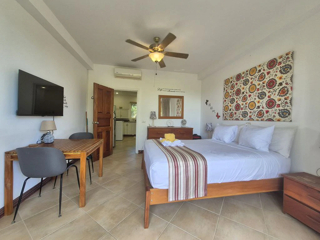 Condo Montelaguna: One Bedroom Condo with Pool Just Steps from Carrillo & Sámara Beaches – Rental Investment Opportunity - Gallery image 15