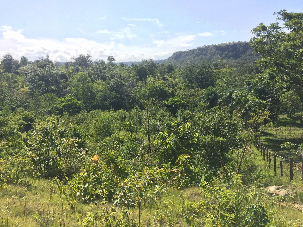 Finca de 31 hectáreas en Liberia: Great investment opportunity - Gallery image 10