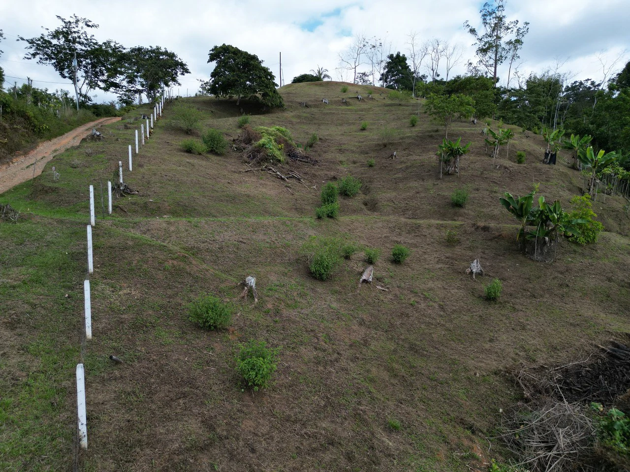 1.35 ACRES – Gorgeous View To The Valley, Mountain And City With A Large Building Site, Two Legal Water Sourses Ready To Build!!!: Mountain and Countryside Home Construction Site For Sale in San Isidr - Gallery image 24