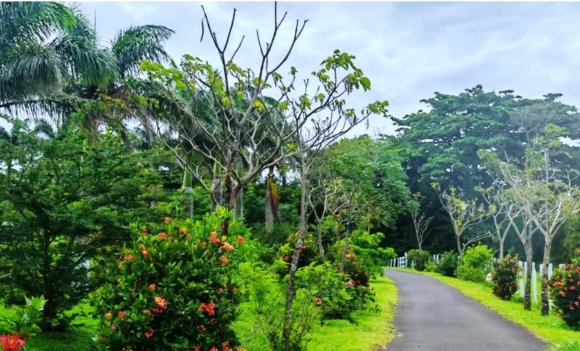 HACIENDA VISTA MORENAS - LUXURY COUNTRY ESTATE - Gallery image 4