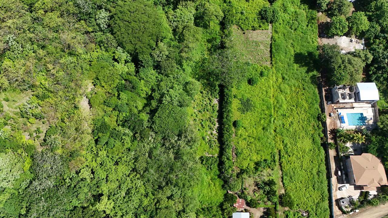 500 m² Lot in Salinitas: 6 Minutes to Playa Grande - photo 8