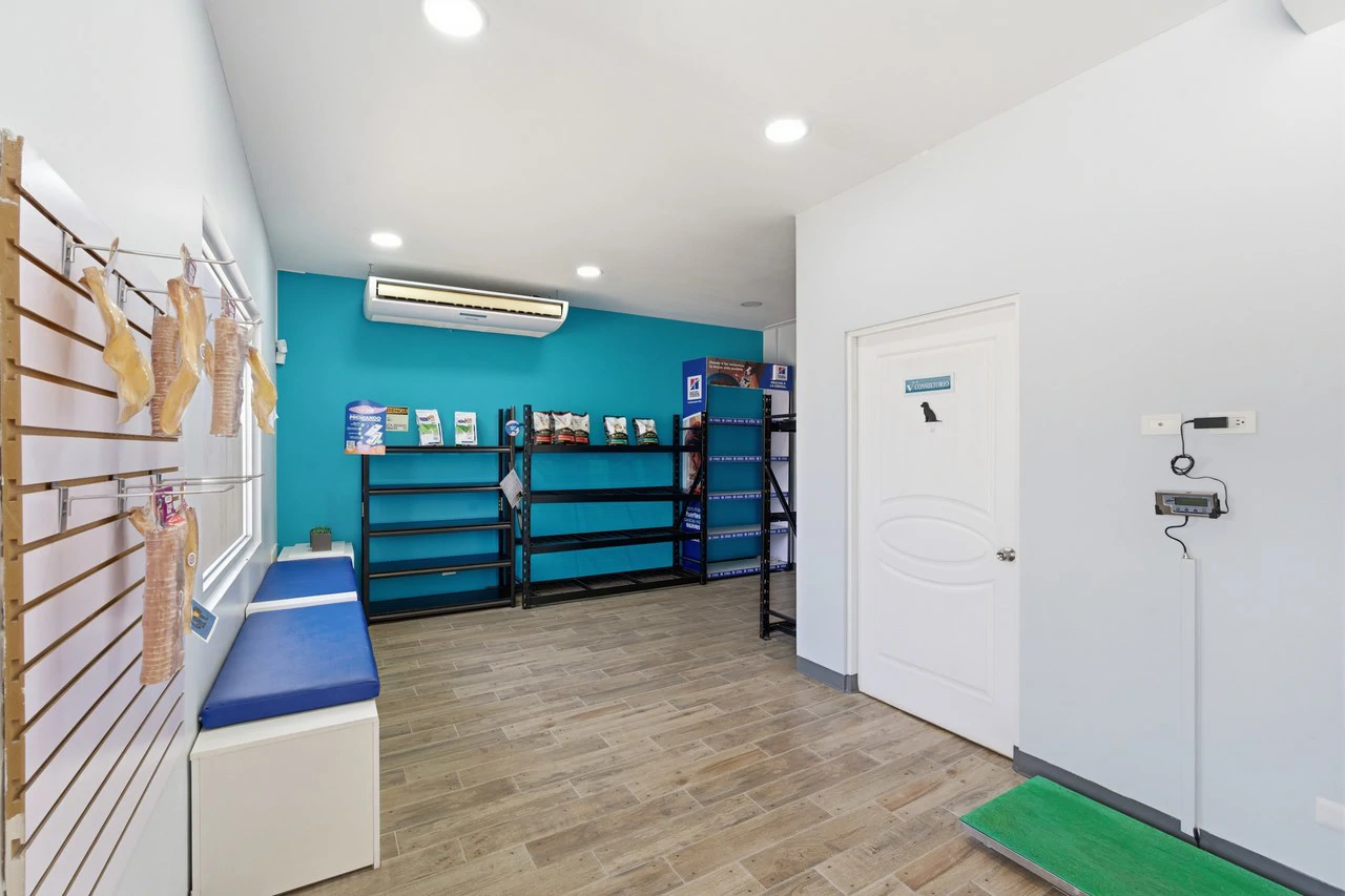 Vet Clinic: Prime Commercial Property & Multi Purpose Medical Clinic - Gallery image 4