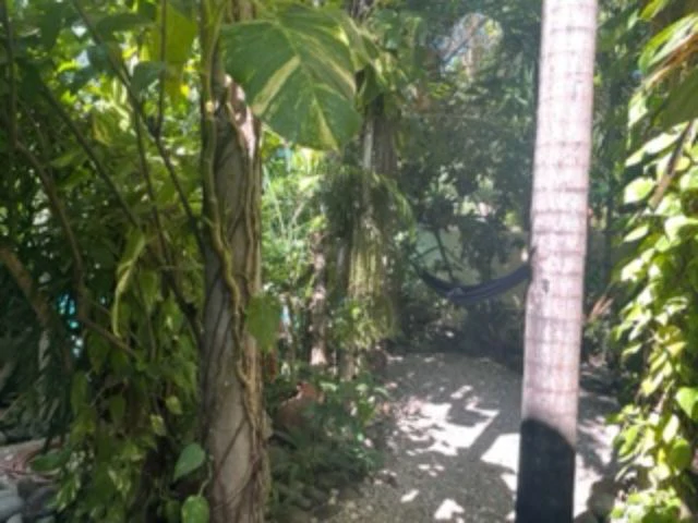 Turn-Key Business Property for sale, beach hotel in Playa Hermosa, Guanacaste, Costa Rica - Gallery image 11