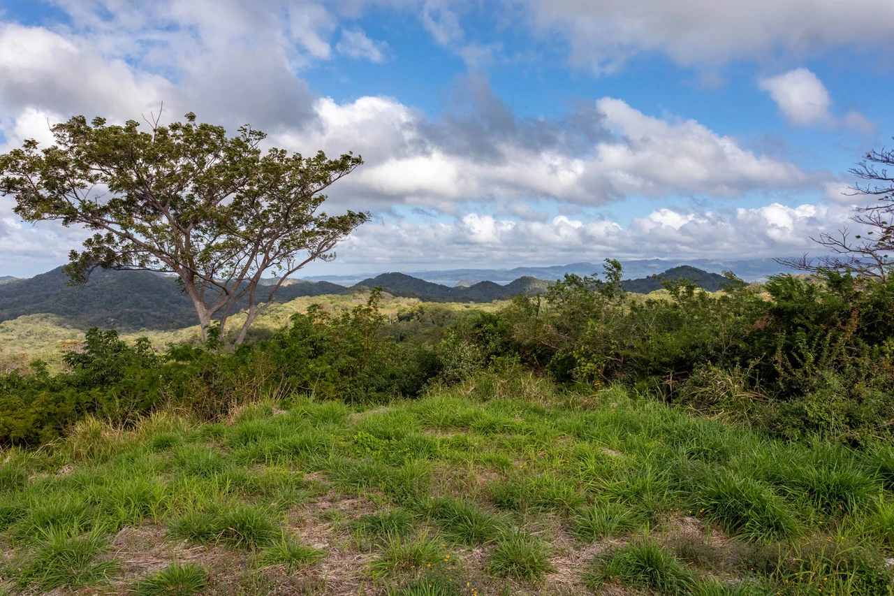 220 Acres Beachside Farm with Ocean View at Playa Junquillal in Guanacaste - Gallery image 19