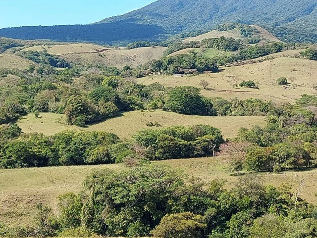 Warm Spring Mountain Property in a tropical landscape and antique wooden house,  50 minutes from Liberia city - Gallery image 30