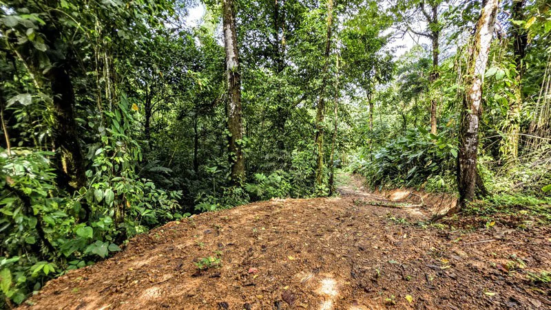 Waterfall Estate, Dos Bocas, Dominical Featuring Twin Waterfalls, Springs, Creeks & Rivers - Gallery image 29