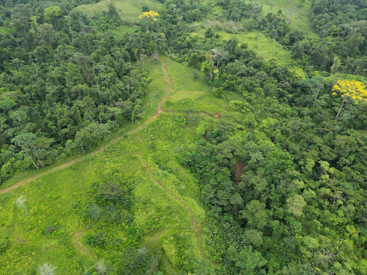 Fire Sale Farm with Ocean View | Piedras Blancas, Osa Peninsula - Gallery image 7