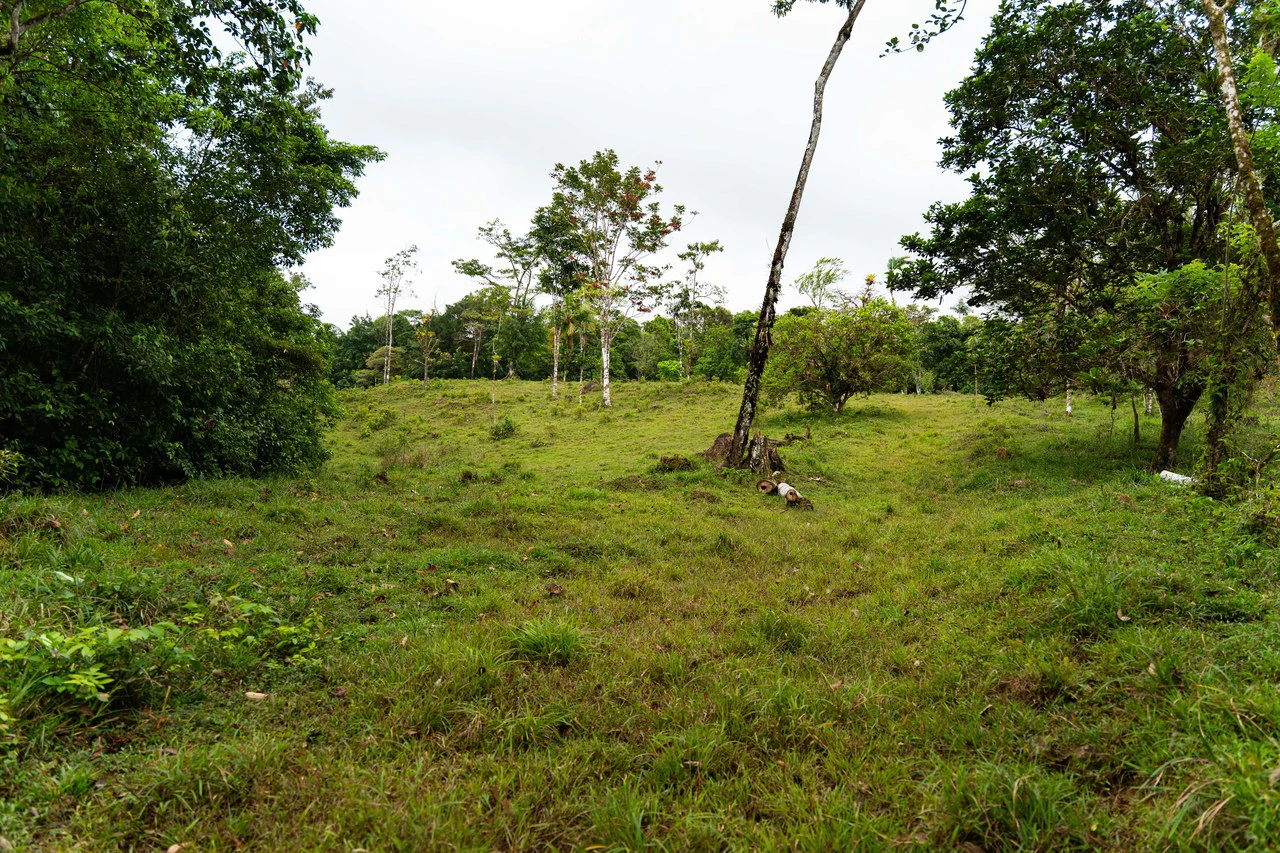 Finca Las Zompopas-Río Celeste: 113-Acre Biodiverse Property in Bijagua, Ideal for Eco-Tourism, Private Retreats, or Sustainable Development - Gallery image 4