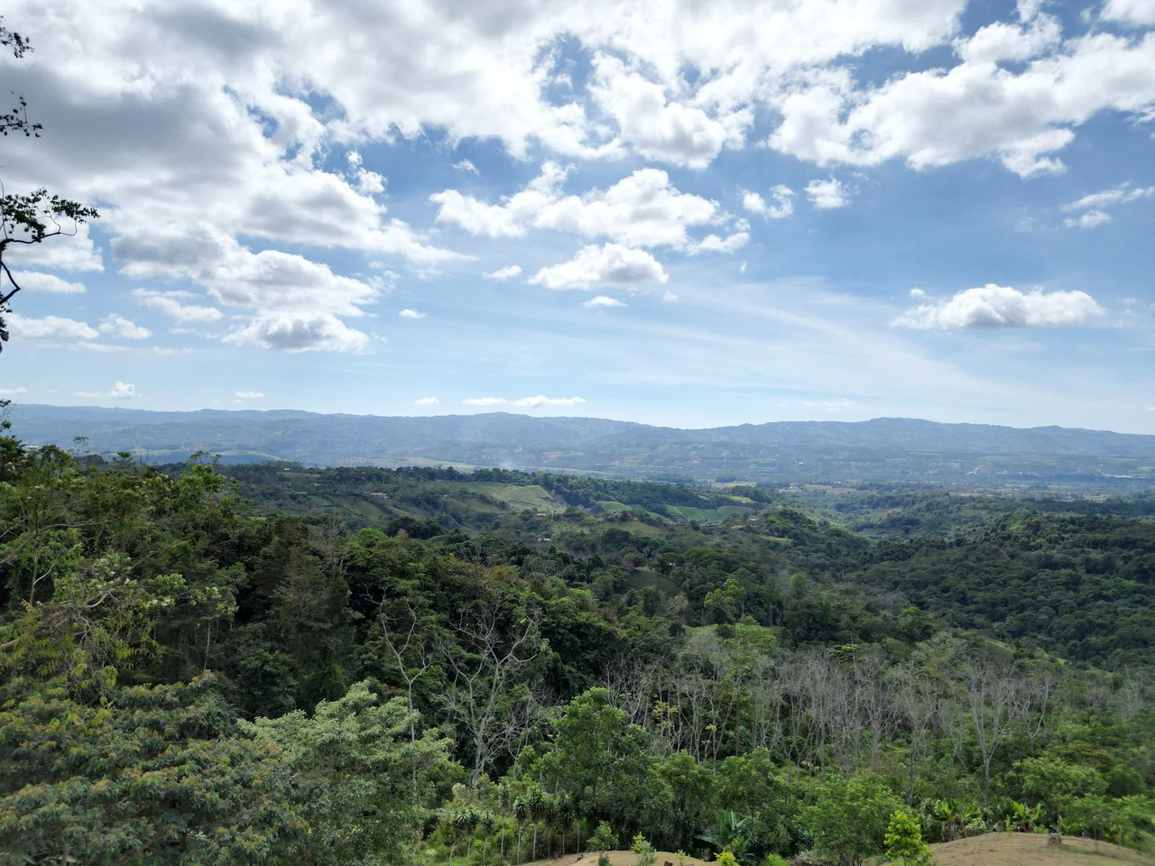 1.35 ACRES – Gorgeous View To The Valley, Mountain And City With A Large Building Site, Two Legal Water Sourses Ready To Build!!!: Mountain and Countryside Home Construction Site For Sale in San Isidr - Gallery image 15
