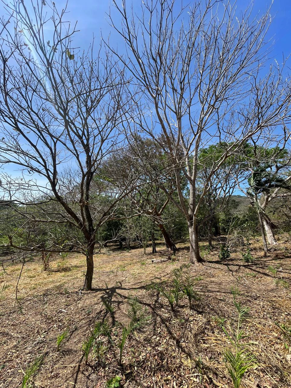 Ocean view property for sale Rodeo Ciudad Colon San Jose Costa Rica - Gallery image 20
