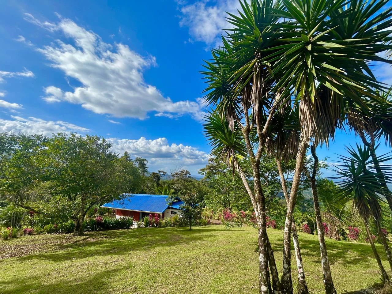 Costa Rica Ecolodge Retreat: Spectacular Views Turnkey Ecolodge Mountain Retreat in the heart of Costa Rica - Gallery image 37