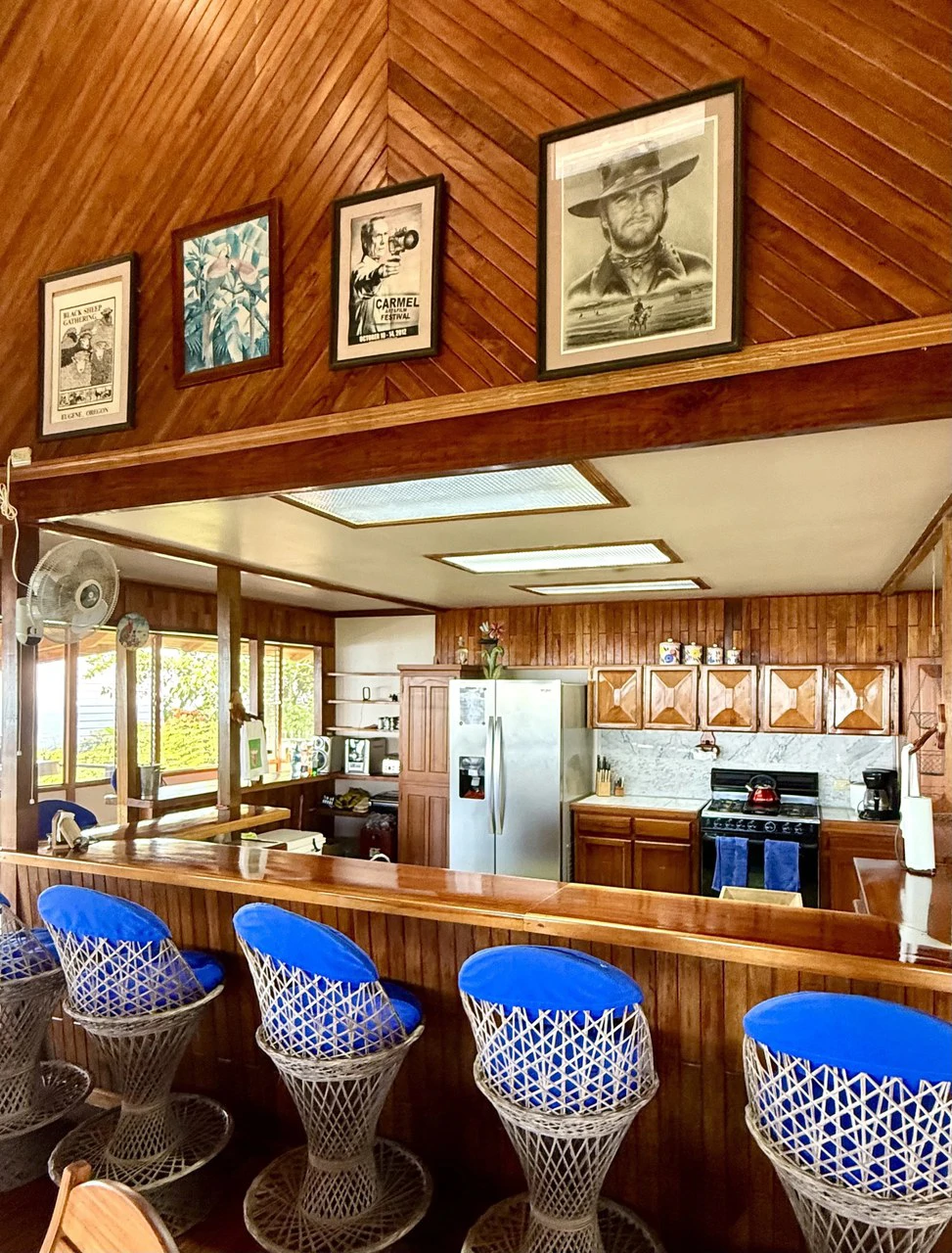 CASA DE LAPAS - OCEAN VIEW: Could you live at the Top of a Mountain in Costa Rica?  Because.... now you can!  Billion dollar views for only $1 Million USD. - Gallery image 23