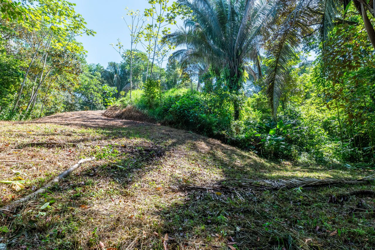 Surfers Paradise! Two Usable Lots for Building in Playa Hermosa Near Uvita!!: Mountain Home Construction Site For Sale in Playa Hermosa - Gallery image 16