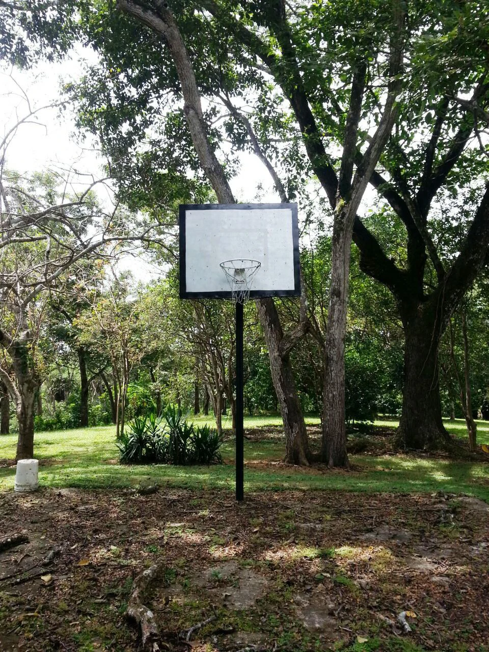 Finca Wellness: Live the Pura Vida Dream – Nature, Privacy & Pacific Beaches - photo 6