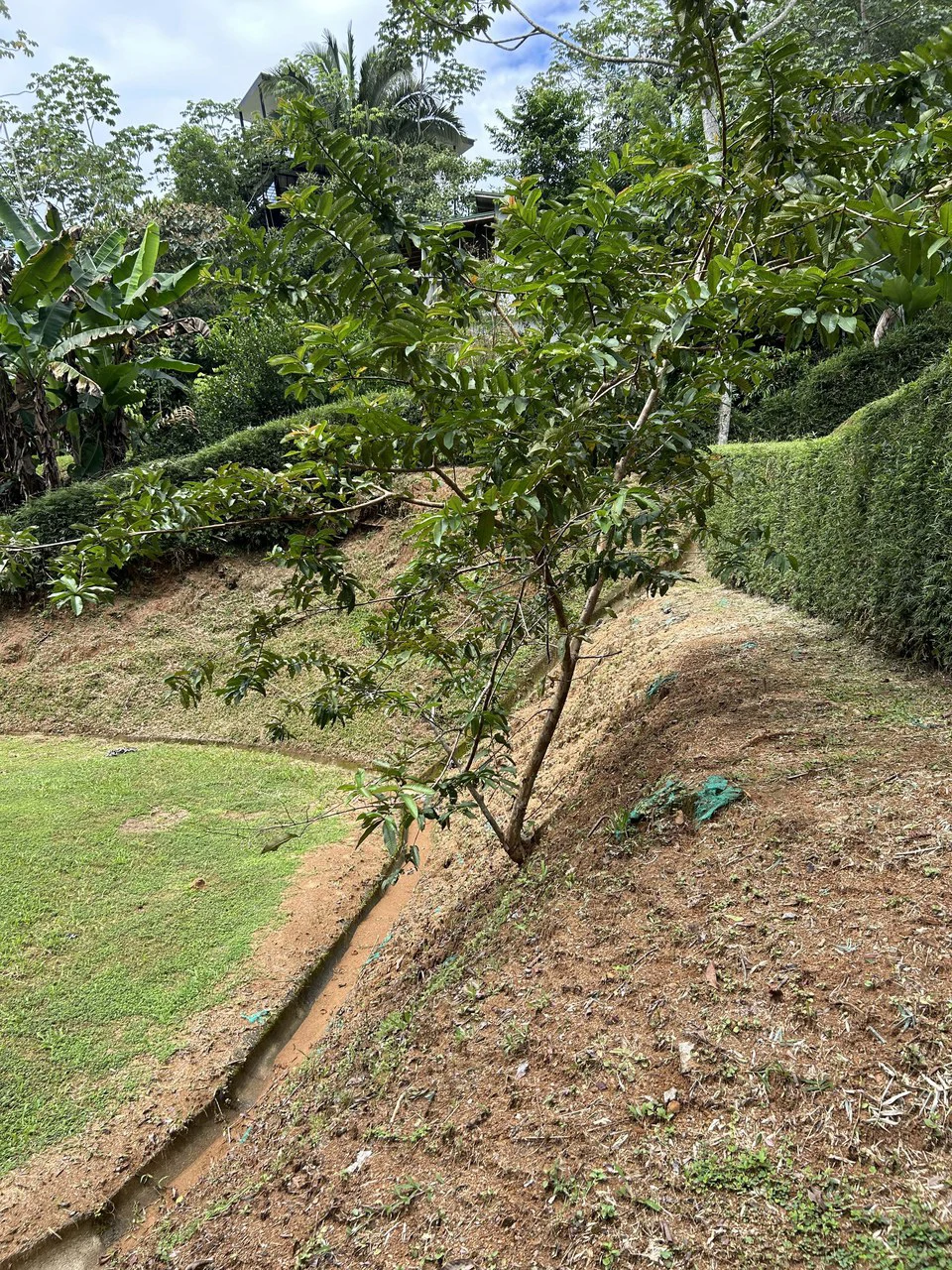 Playa Hermosa: Two Locations to Build, Permits Ready - Gallery image 62