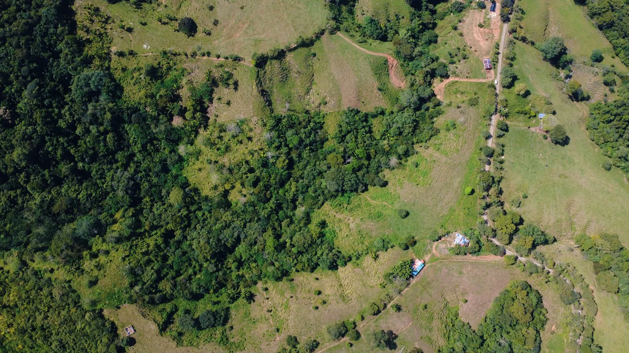 8HA EN VENTA, UBICADA EN BUENOS AIRES, PUNTARENAS.: Countryside Home Construction Site For Sale in Buenos Aires - Gallery image 2