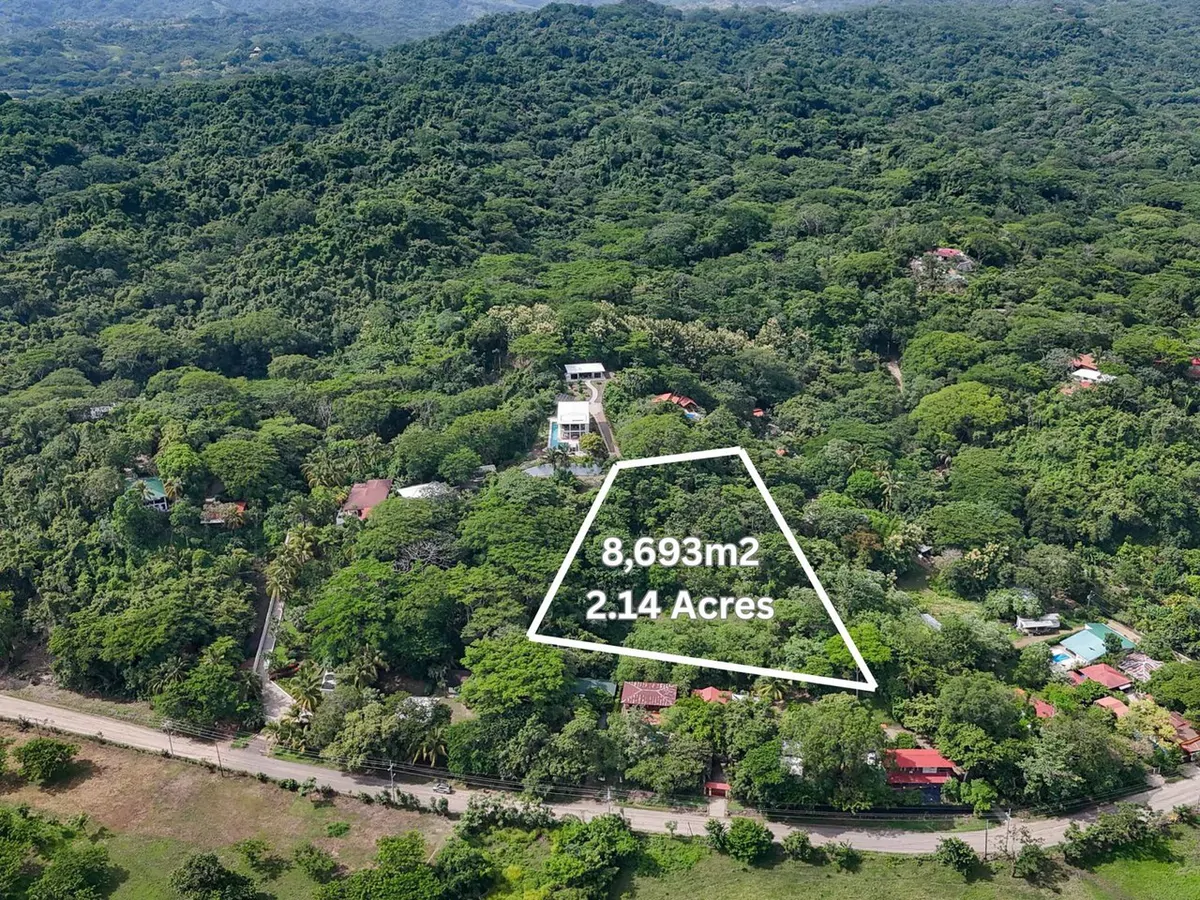 Ocean-view lot in Buena Vista