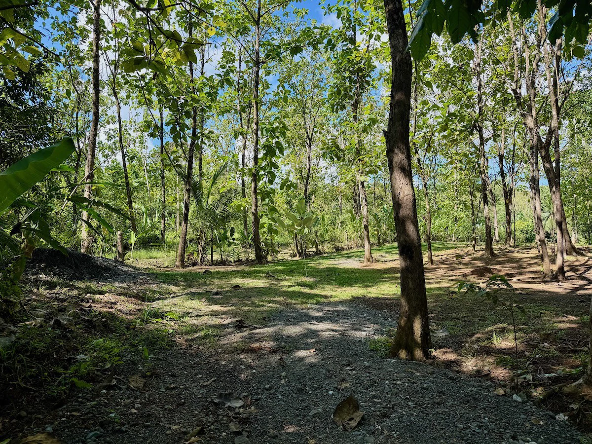 New 2 Bedroom Home for Sale in Terrones | Near Puerto Jiménez, Osa Peninsula - Gallery image 20