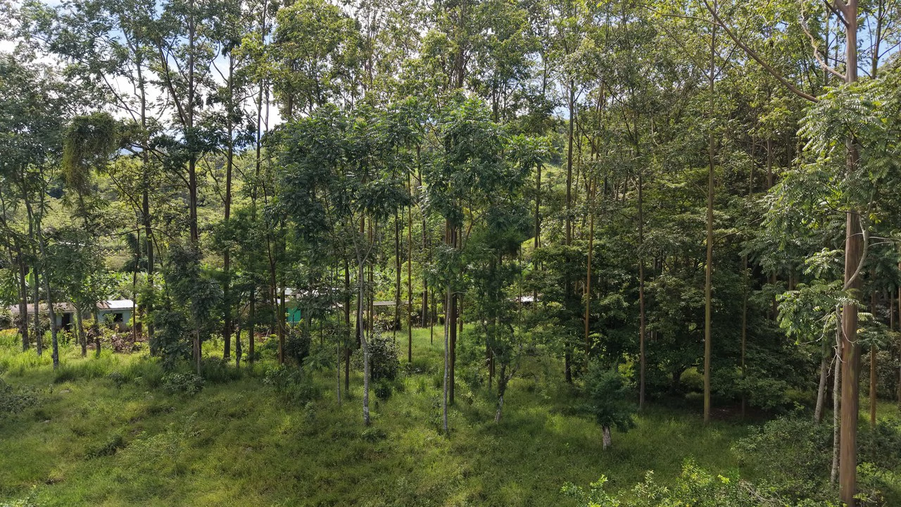 Mountain Home Construction Site For Sale in San Isidro del General