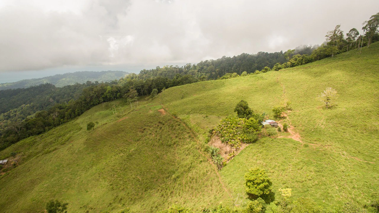 Off Grid 70-Hectare Farm with Stunning Ocean Views and Freshwater Springs - Gallery image 15