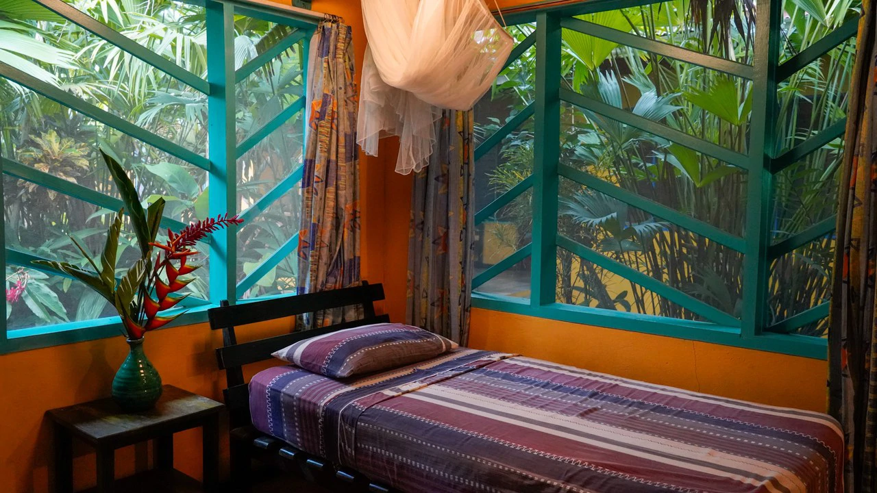 Established Caribbean Hotel: in the Heart of Puerto Viejo’s Vibrant Downtown Tourist Hub - Gallery image 13