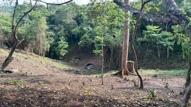 Beautiful Property for Sale in the Mountains of San Juanillo – Prime Land with Building Potential Just 10 Minutes from the Ocean - Gallery image 13