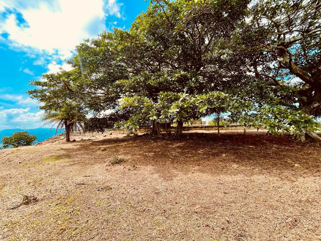 Bargain Lot for sale in Residencial Vista Mar with Ocean and mountain view between San Mateo and Orotina Alajuela Costa Rica - Gallery image 8