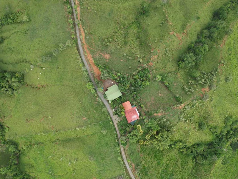 Livestock Farm | Titled property located in Santa Eduviges - Gallery image 2