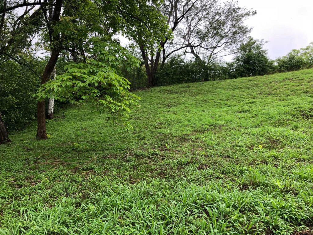 Lot in exclusive Residential, close to Beach Tamarindo - Gallery image 23