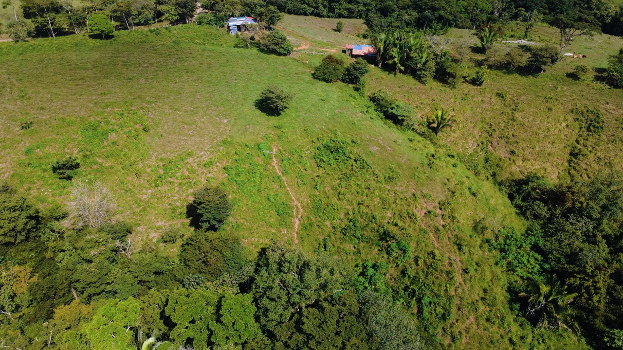 8HA EN VENTA, UBICADA EN BUENOS AIRES, PUNTARENAS.: Countryside Home Construction Site For Sale in Buenos Aires - Gallery image 4