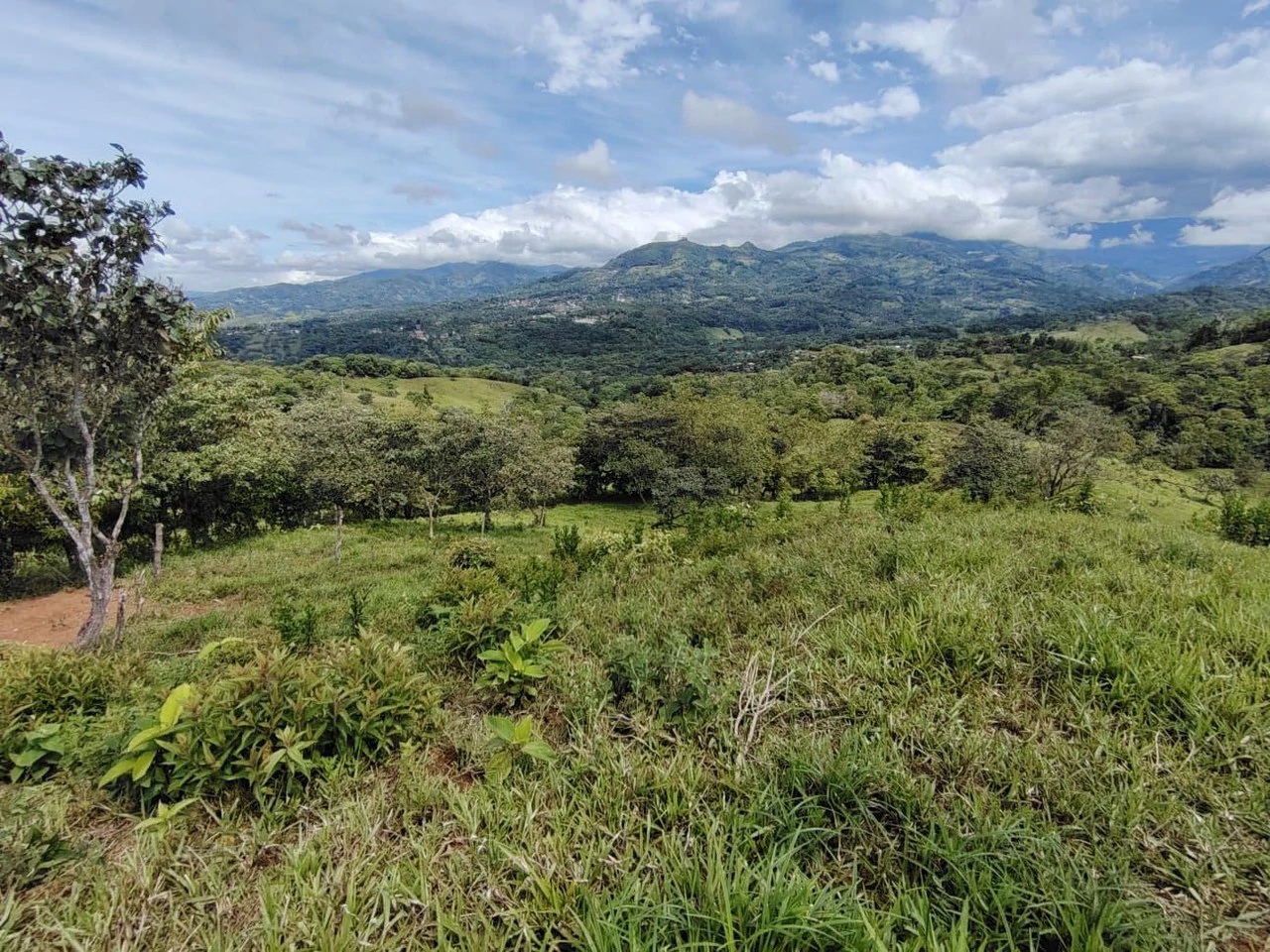 Countryside Home Construction Site For Sale in General Viejo - Gallery image 6