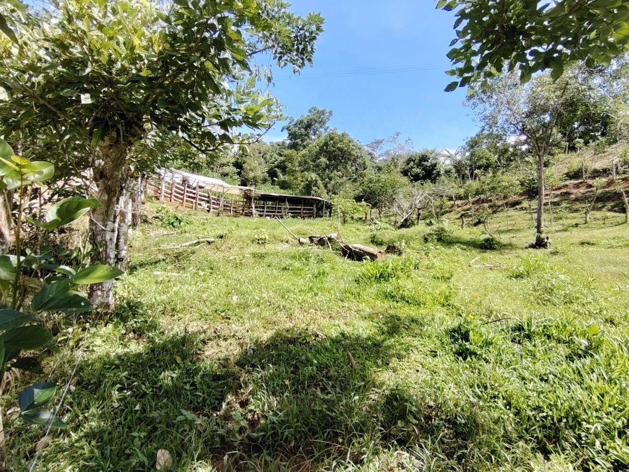 Terreno en San Juan Bosco 1782m2: Mountain and Countryside Home Construction Site For Sale in Daniel Flores - Gallery image 5
