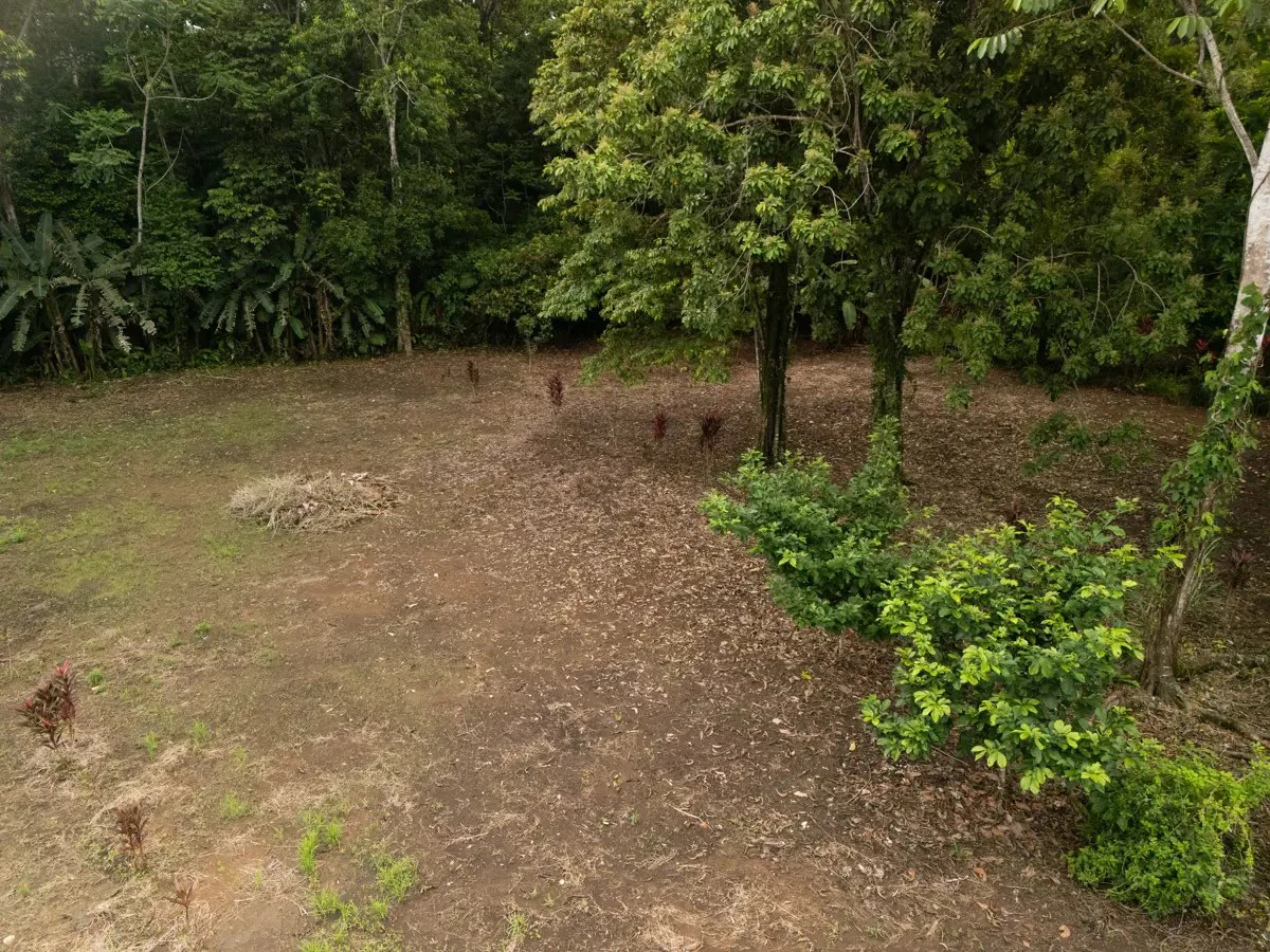 ID 1150: 3000 sqm Titled Land Near Cahuita National Park, Costa Rica - photo 8