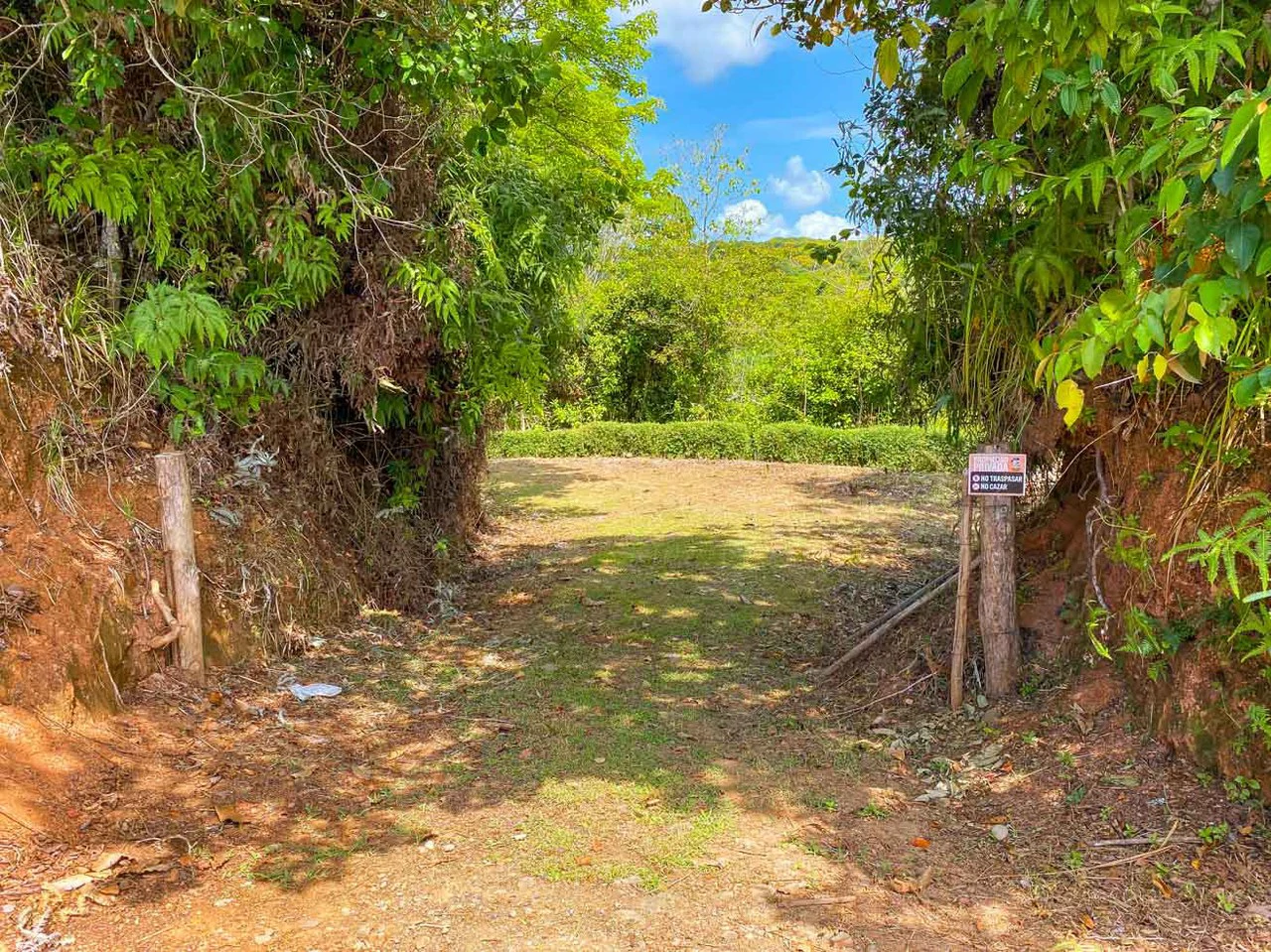 32 Acre Self Sustainable Farm with House Close Ojochal - Gallery image 48