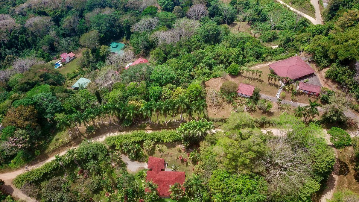 3.64 ACRES - 3 Bedroom Home With Expansive Ocean Views, Multiple Areas to Build, Public Road With Commercial Potential, 10min to the Beach!! - Gallery image 7
