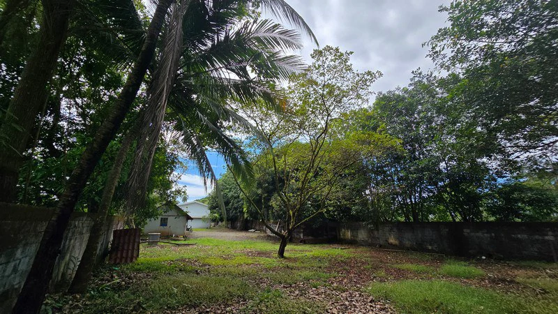 Villa del Mar, one block from the beach in Bejcuo: Fully titled half acre property with 2 level home - Gallery image 77