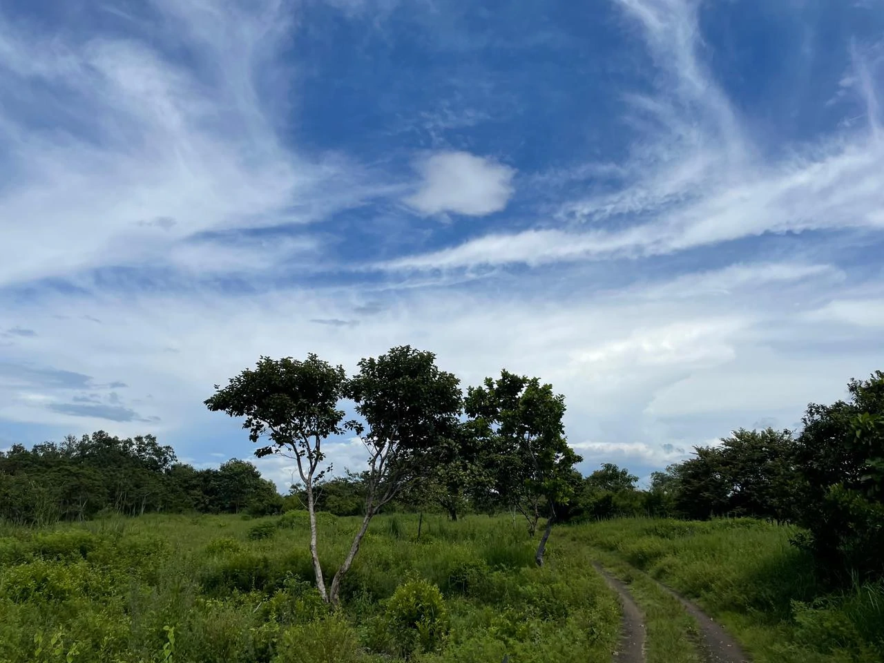 Airport Liberia Top commercial location huge property for sale - Gallery image 8