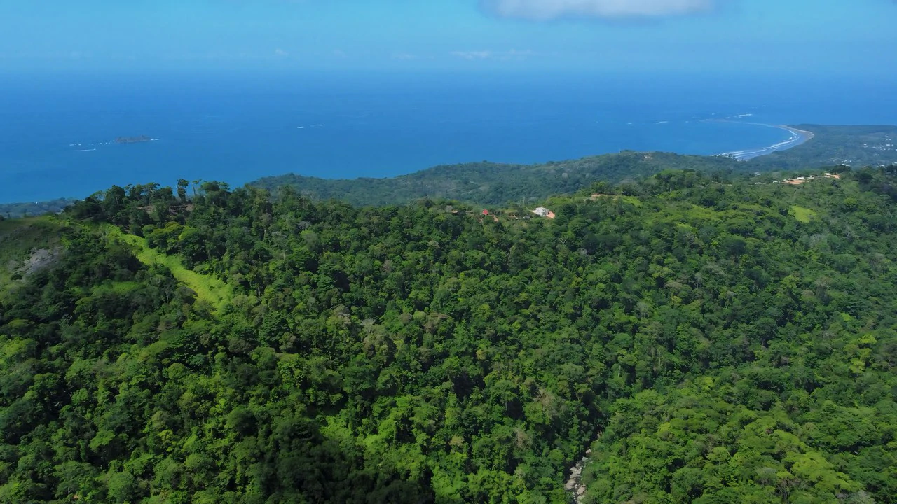 FINCA CERRO DEL TIGRE! OVER 20 ACRES OF PRIMARY FOREST AND WATERFALLS.: Mountain Agricultural Land For Sale in La Unión - Gallery image 12
